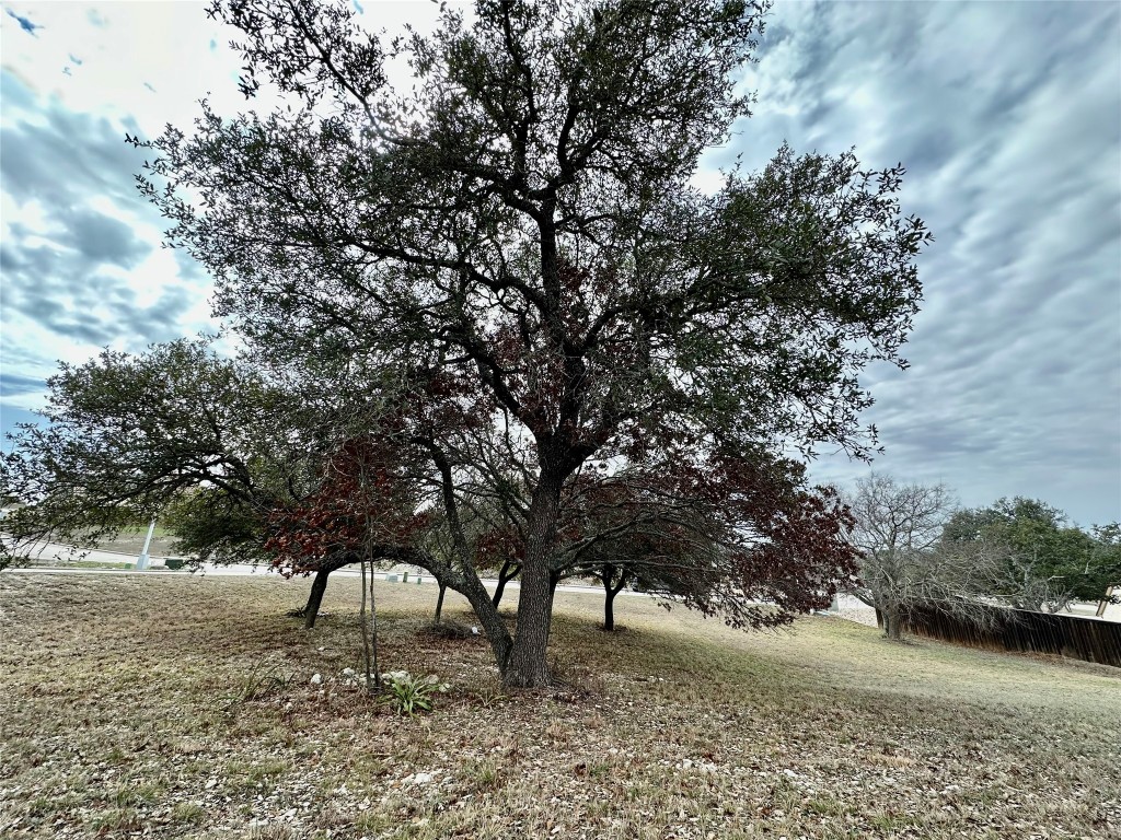 Lot 24 Andy's Point Burnet, TX 78611 - Photo 11 of 15