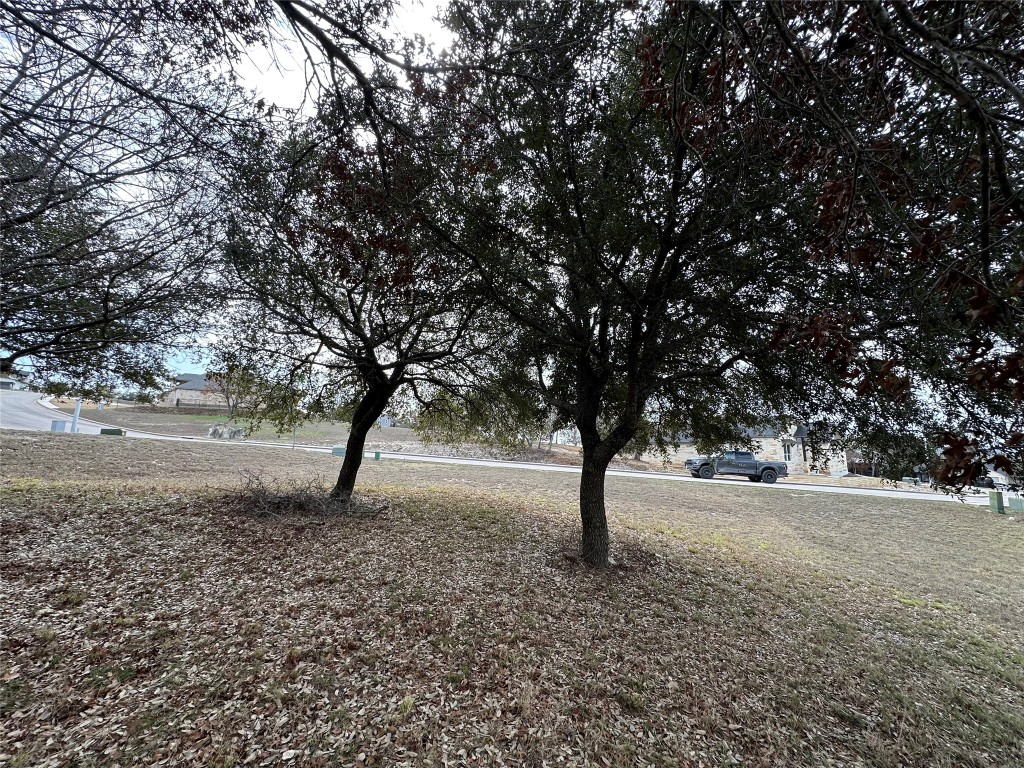 Lot 24 Andy's Point Burnet, TX 78611 - Photo 12 of 15 a view of empty area with a tree
