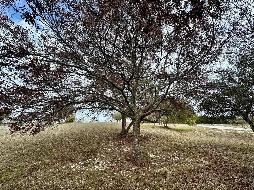 Lot 24 Andy's Point Burnet, TX 78611 - Photo 13 of 15 a view of outdoor space and yard