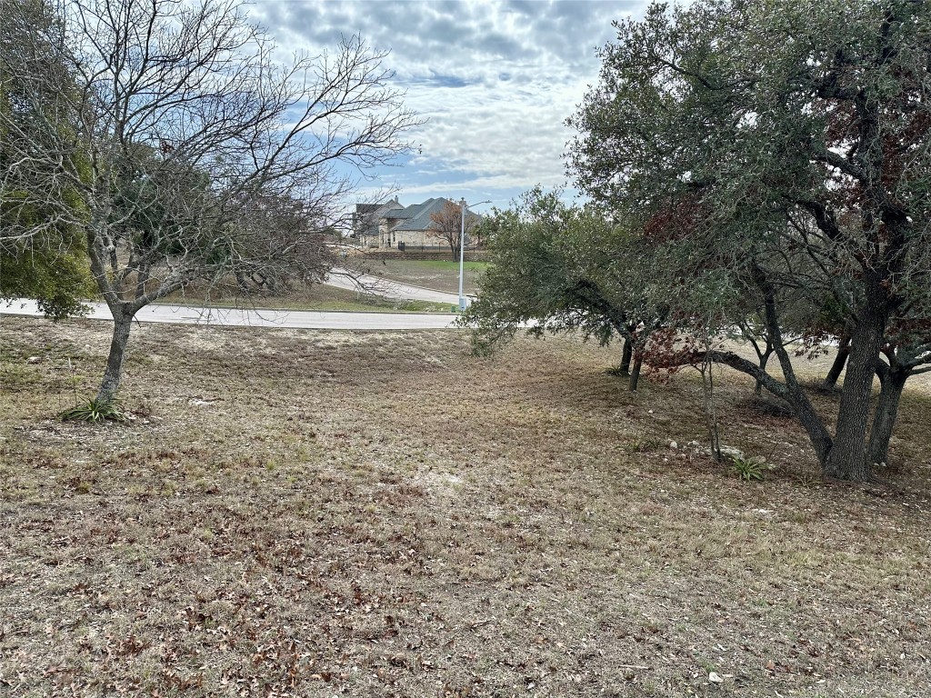 Lot 24 Andy's Point Burnet, TX 78611 - Photo 2 of 15 a view of dirt yard with a trees