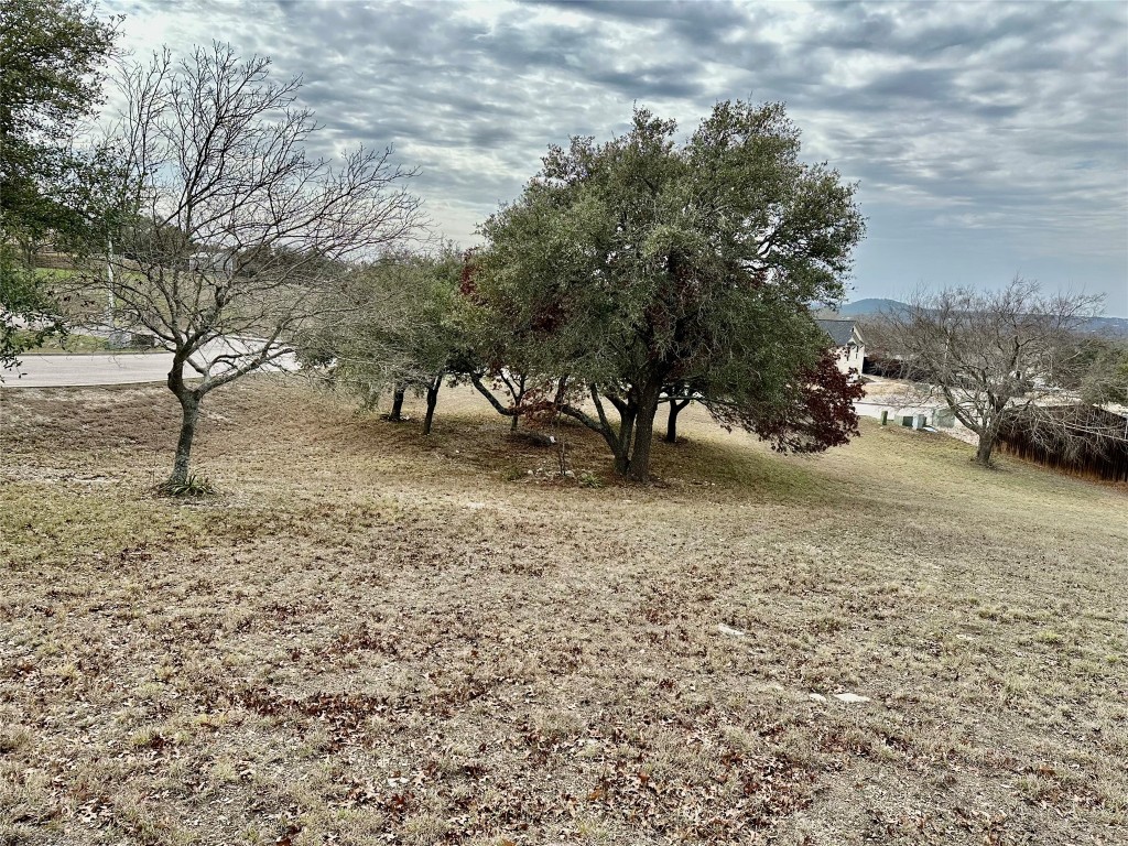 Lot 24 Andy's Point Burnet, TX 78611 - Photo 4 of 15 a view of dirt yard with a large tree