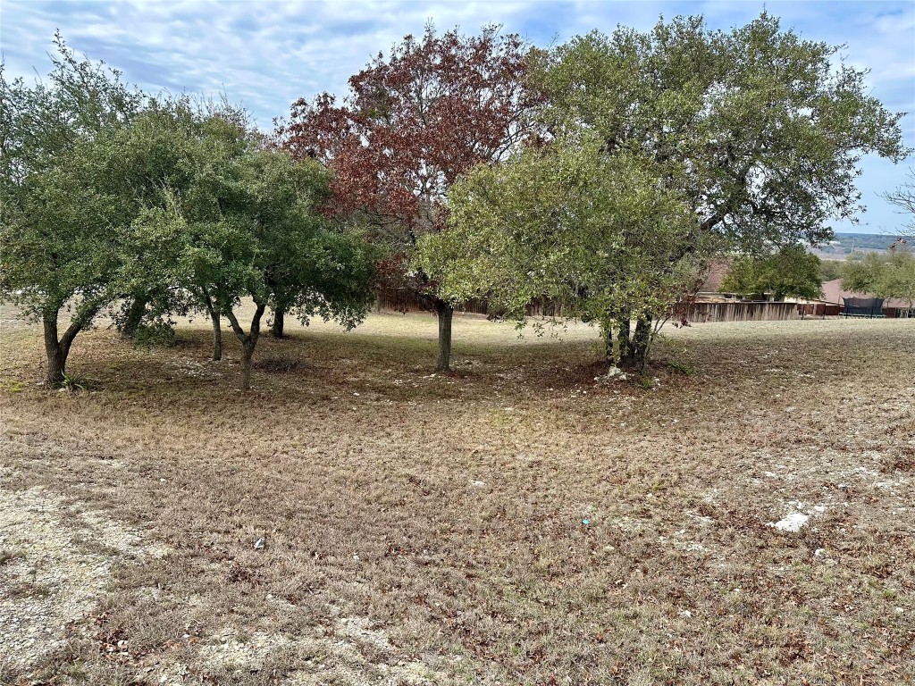 Lot 24 Andy's Point Burnet, TX 78611 - Photo 6 of 15 a view of a backyard with large trees