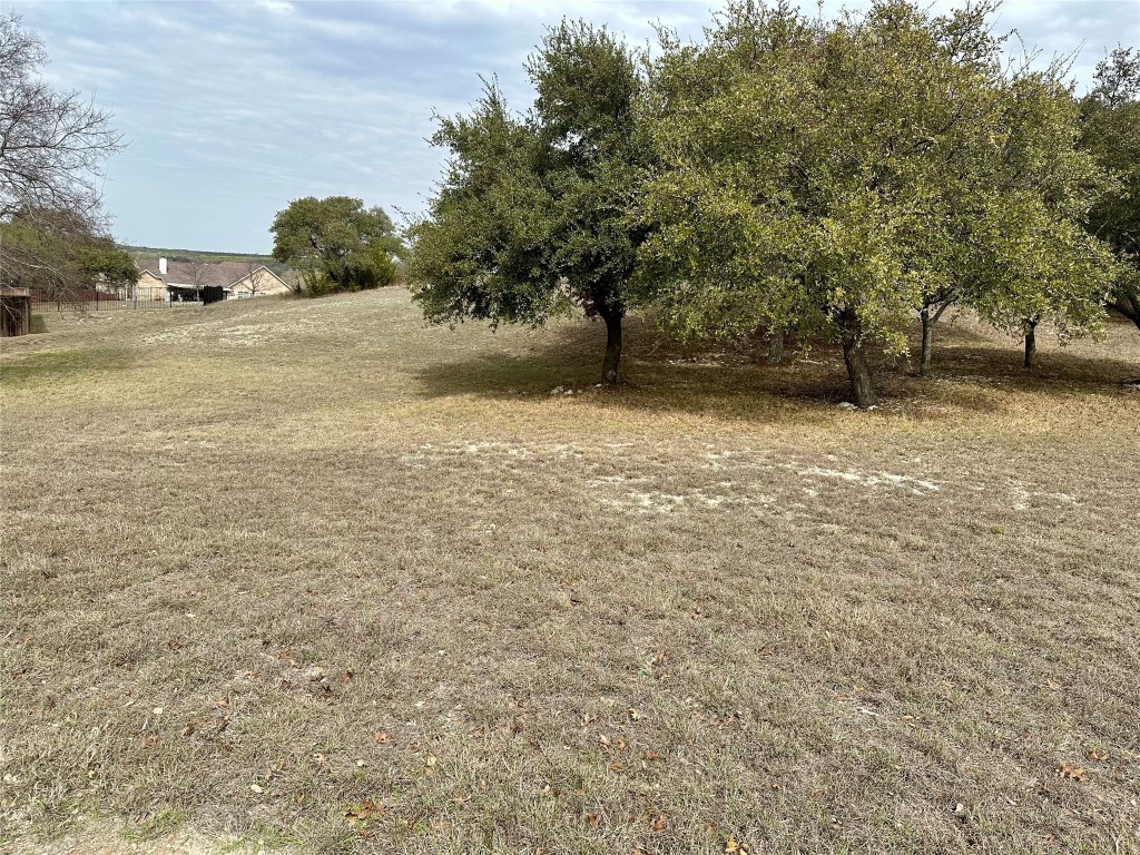 Lot 24 Andy's Point Burnet, TX 78611 - Photo 9 of 15 a view of beach and yard