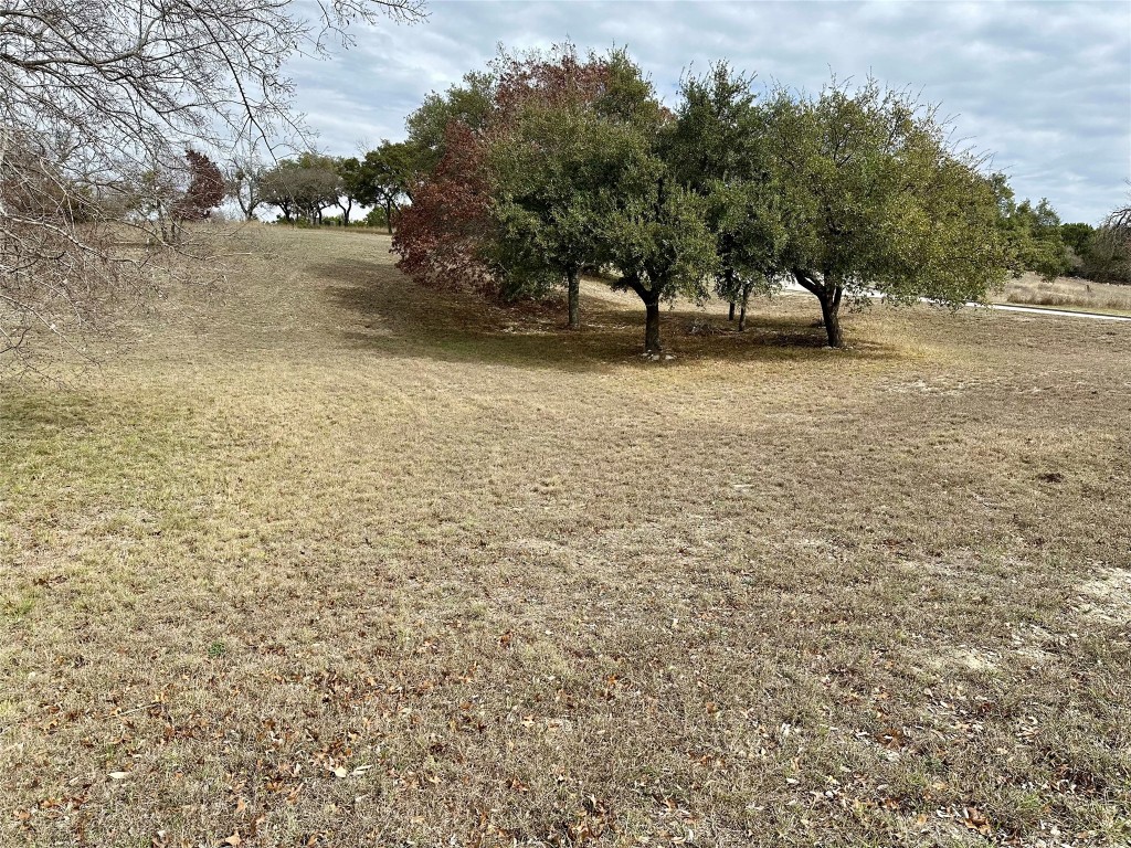 Lot 24 Andy's Point Burnet, TX 78611 - Photo 10 of 15