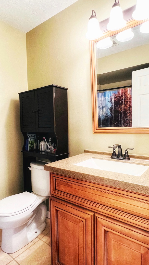 4 Downing Circle Bloomington, IL 61704 - Photo 44 of 69 a bathroom with a sink and a toilet