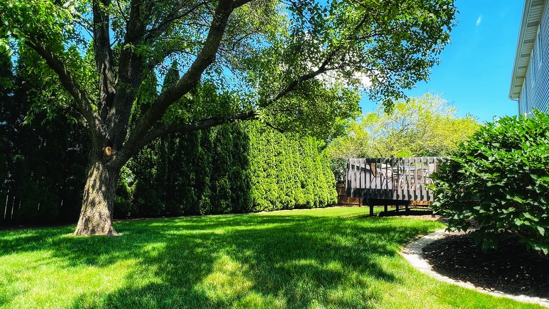 4 Downing Circle Bloomington, IL 61704 - Photo 5 of 69 a view of a garden with a tree