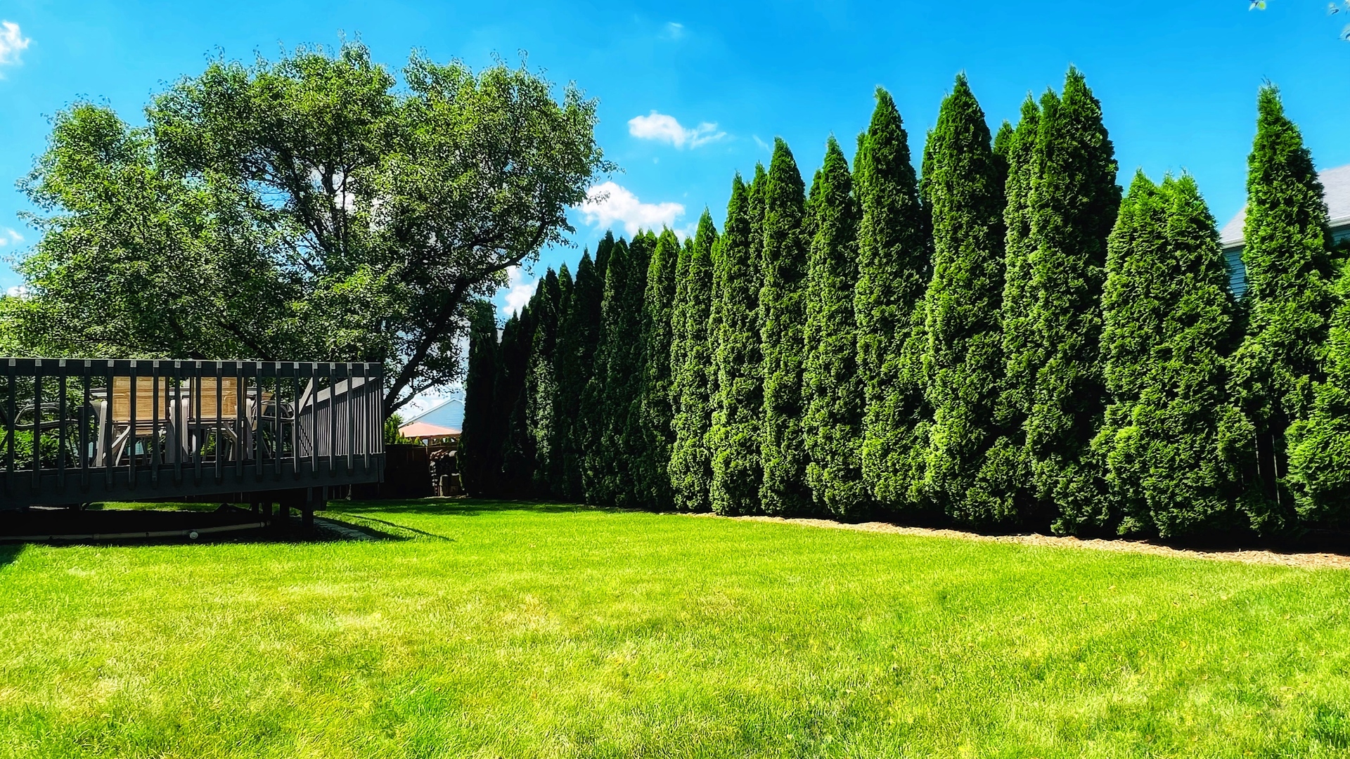 4 Downing Circle Bloomington, IL 61704 - Photo 8 of 69 a view of a backyard