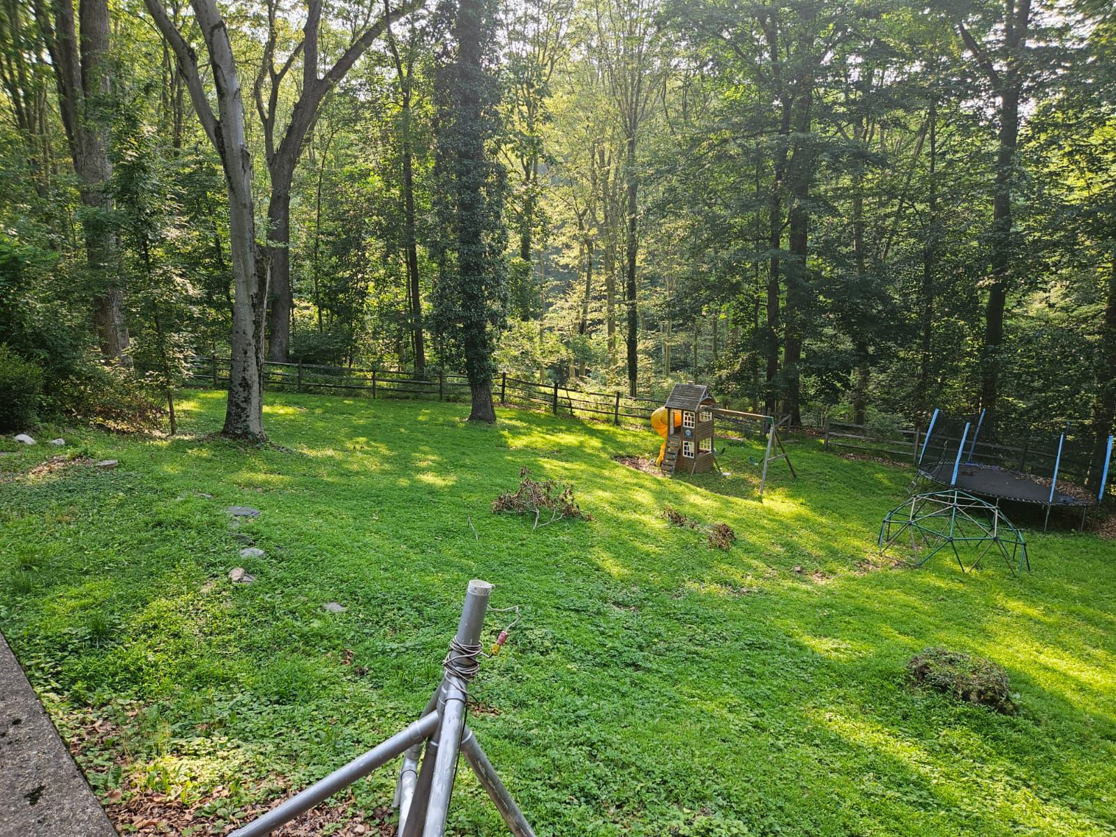 400 Marple Road Broomall, PA 19008 - Photo 23 of 26 Backyard