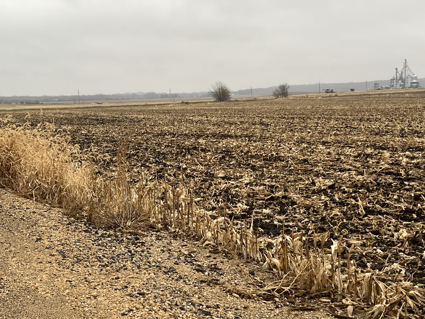 0 Allens Grove Road Dixon, IA 52745 - Photo 2 of 5 a view of an ocean