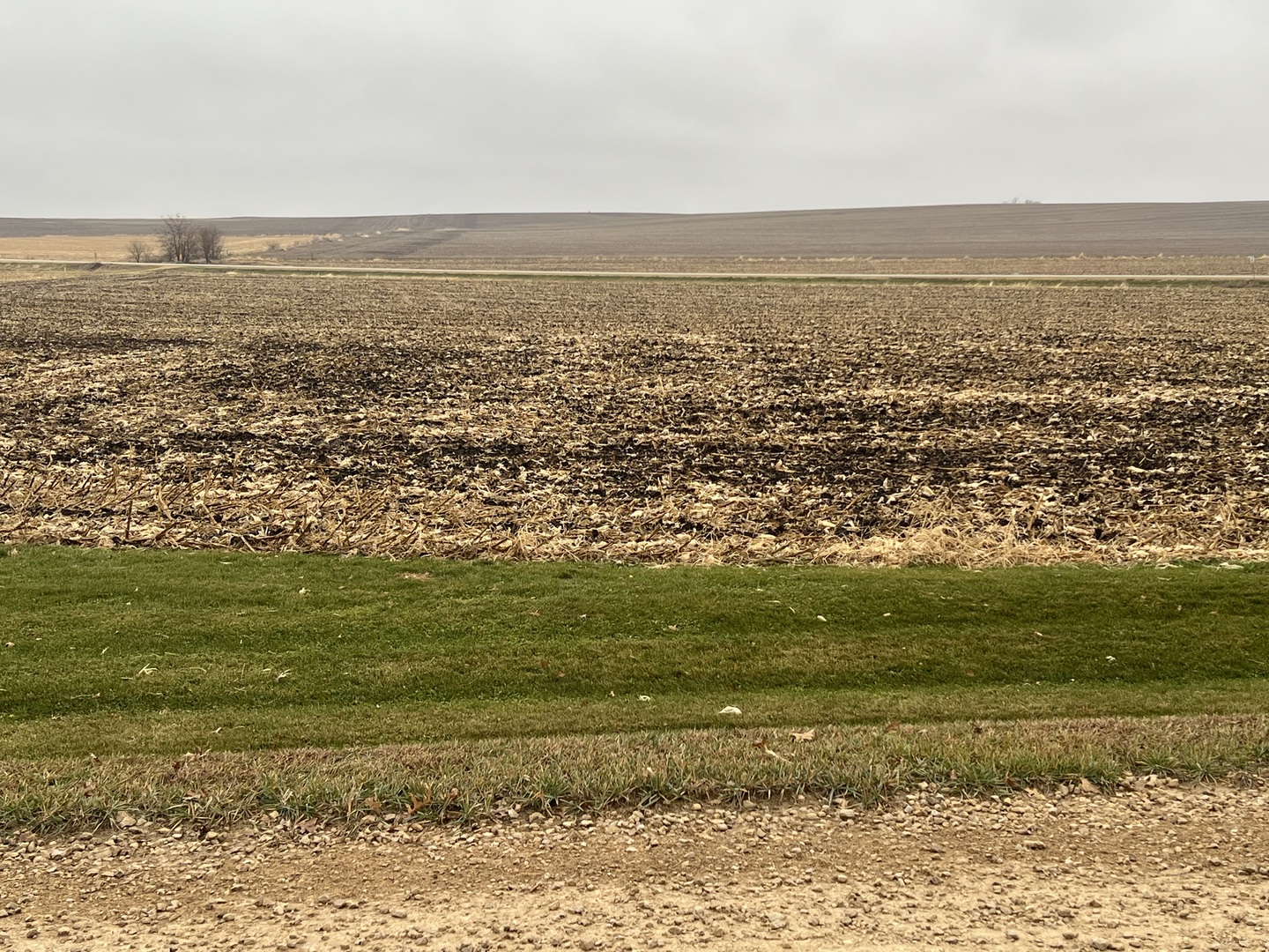 0 Allens Grove Road Dixon, IA 52745 - Photo 3 of 5 a view of ocean view