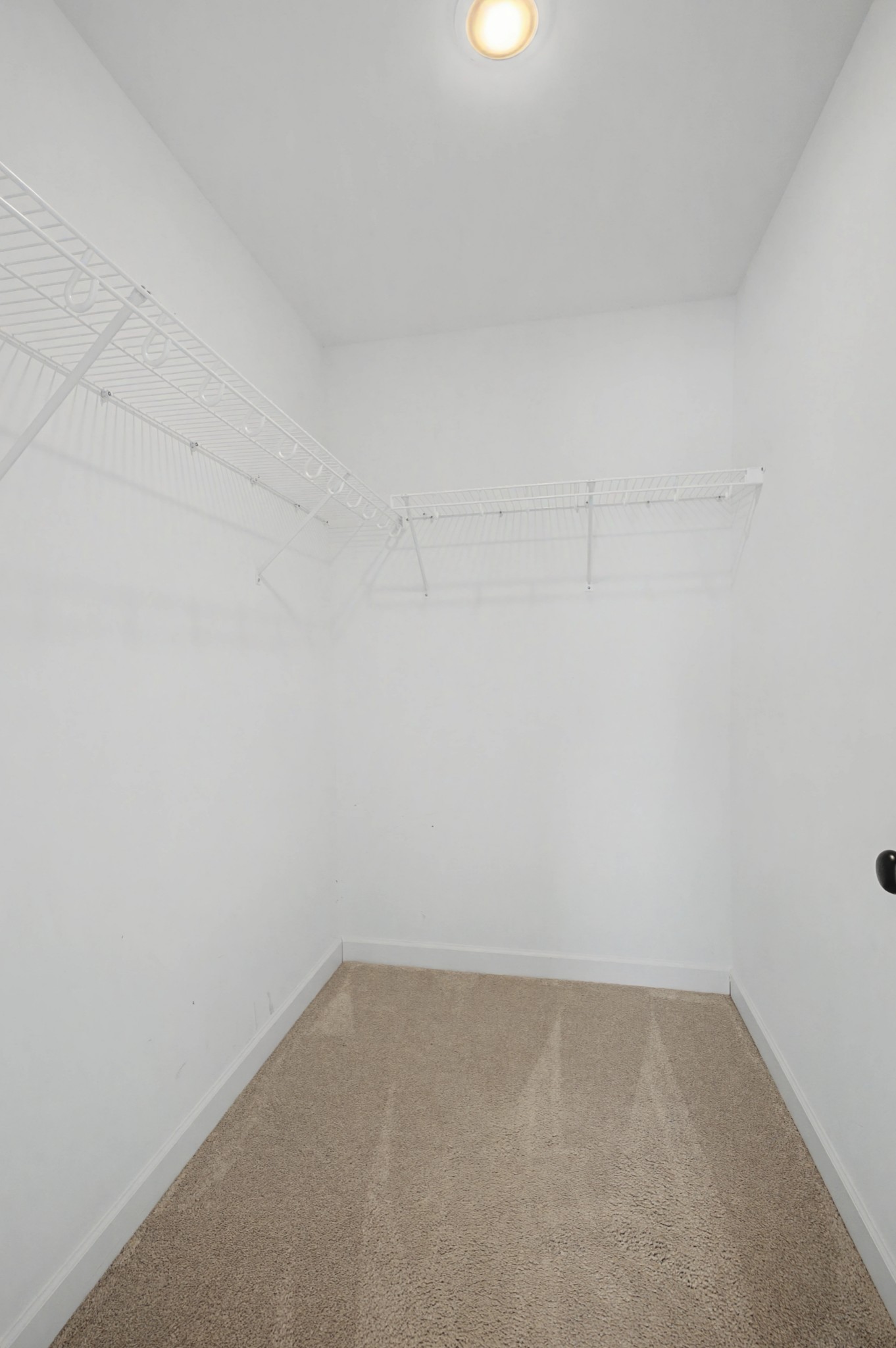 3523 Anthony Avenue Murfreesboro, TN 37129 - Photo 23 of 38