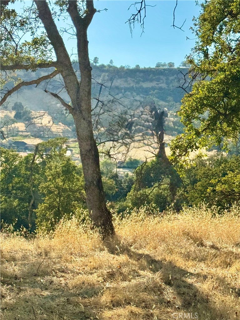 3258 Dry Creek Road Oroville, CA 95965 - Photo 1 of 6 a view of a yard with a tree