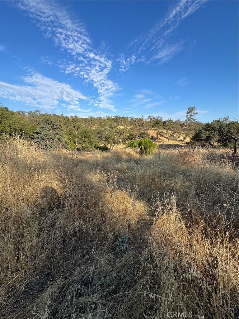 3258 Dry Creek Road Oroville, CA 95965 - Photo 3 of 6 a view of lake