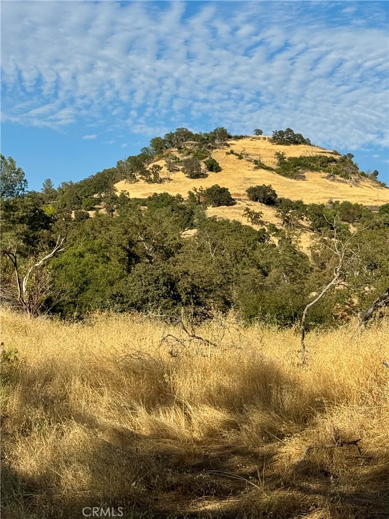 3258 Dry Creek Road Oroville, CA 95965 - Photo 4 of 6 a view of ocean