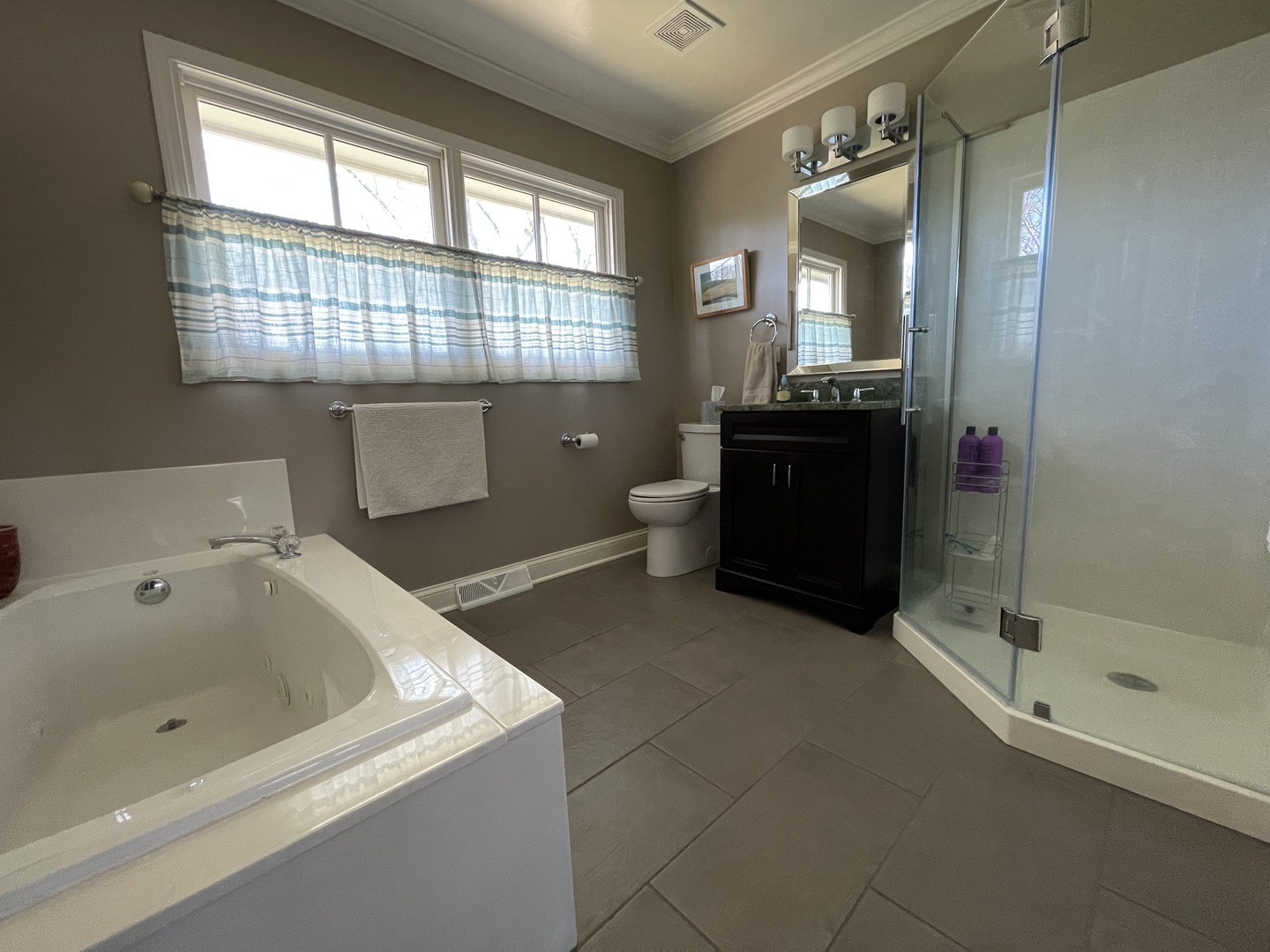 N742 Pleasant Hill Road Wheaton, IL 60187 - Photo 13 of 28 a bathroom with a sink and a bathtub