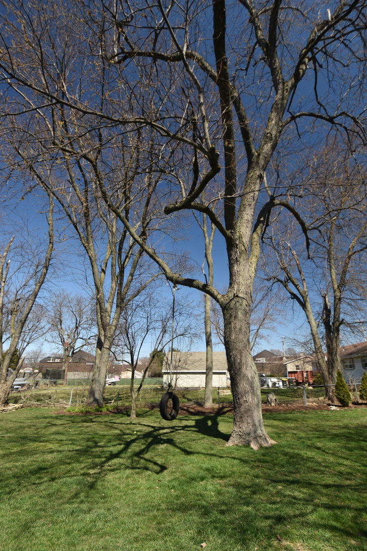 N742 Pleasant Hill Road Wheaton, IL 60187 - Photo 22 of 28 a backyard of a house with lots of green space