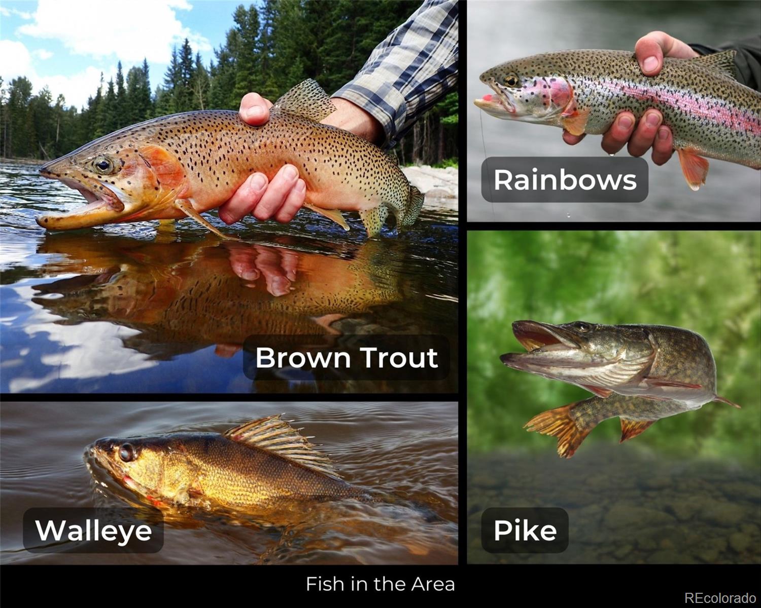 0 Co Road Rye, CO 81069 - Photo 19 of 26 a sign that is on a street