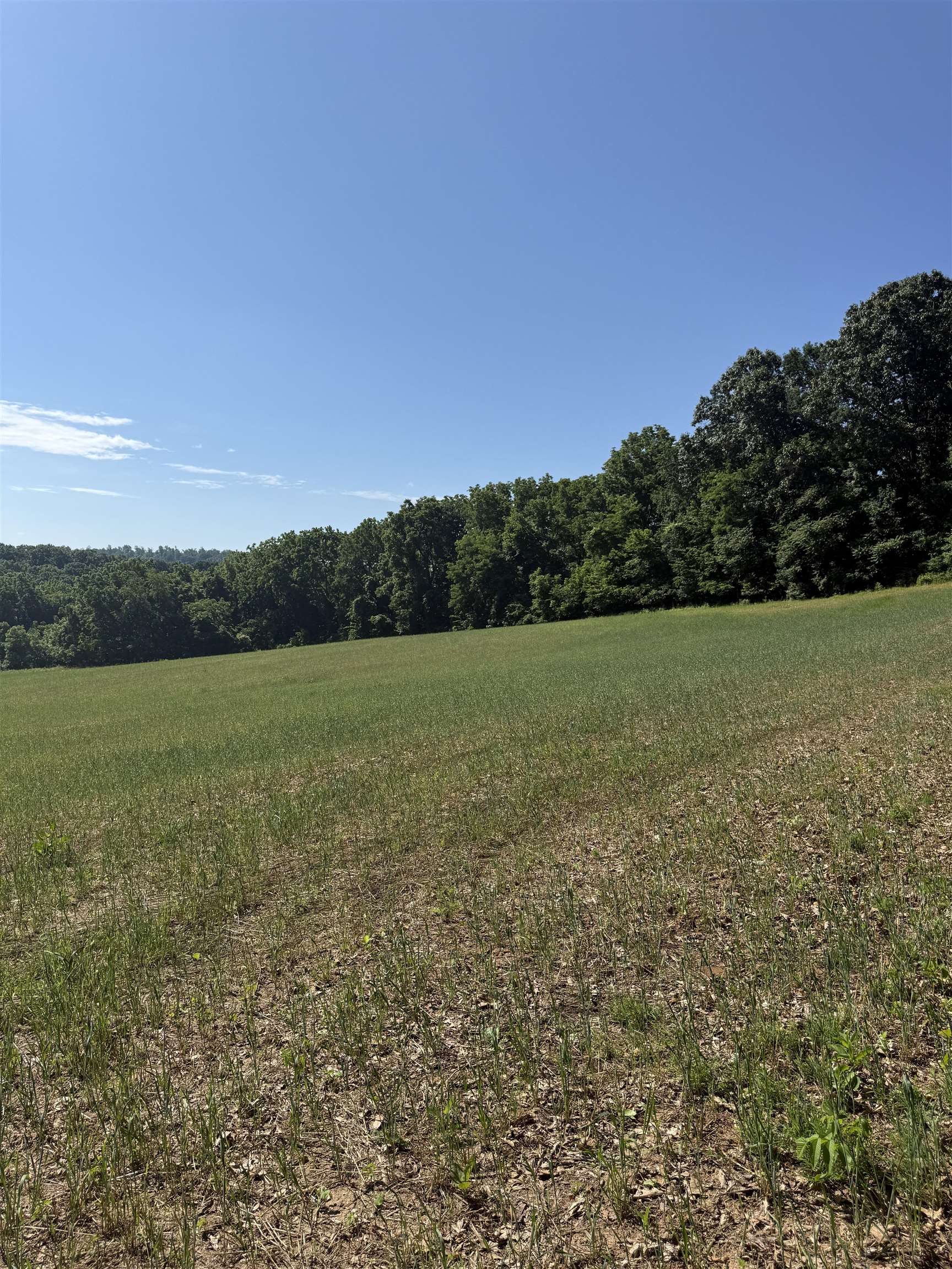 Tbd Arborhill Road Staunton, VA 24401 - Photo 17 of 25