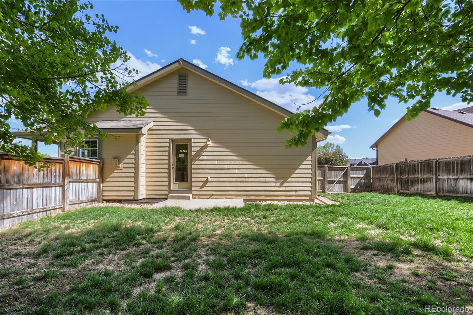 654 Foxtail Way Windsor, CO 80550 - Photo 25 of 30