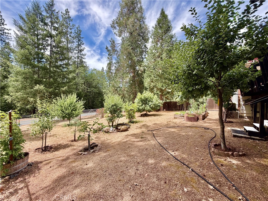 11783 Western Pine Road Middletown, CA 95461 - Photo 40 of 44 Gallery Image 40