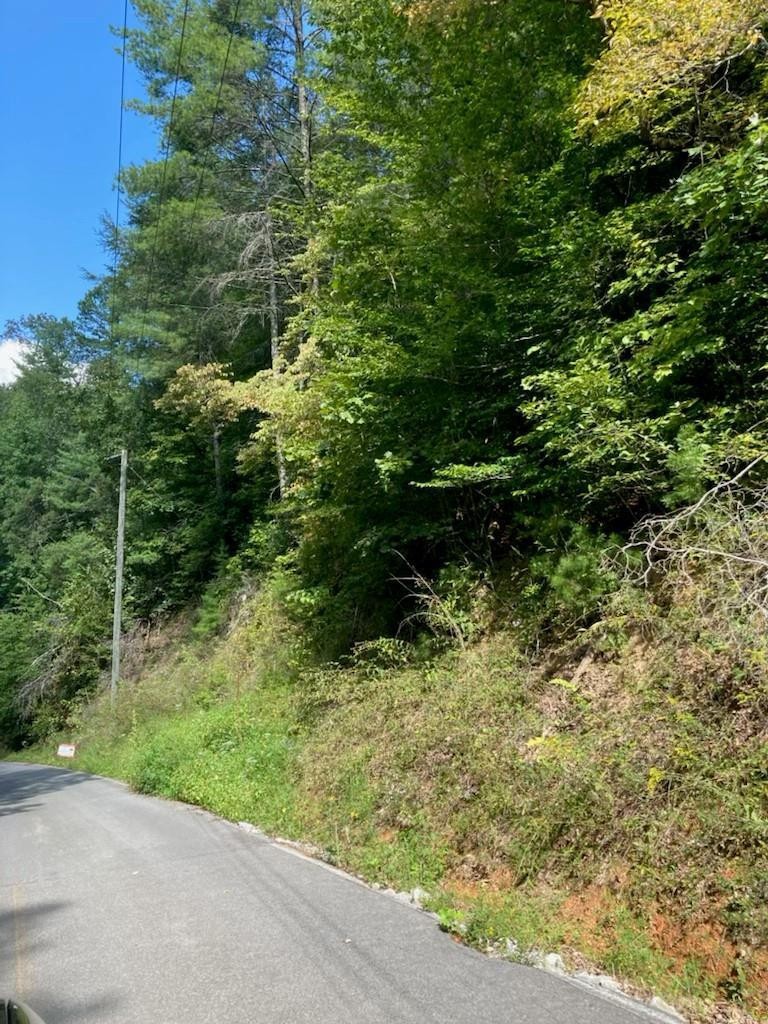 0 And 16 Sunset Road Sevierville, TN 37862 - Photo 1 of 3 Gallery Image 1