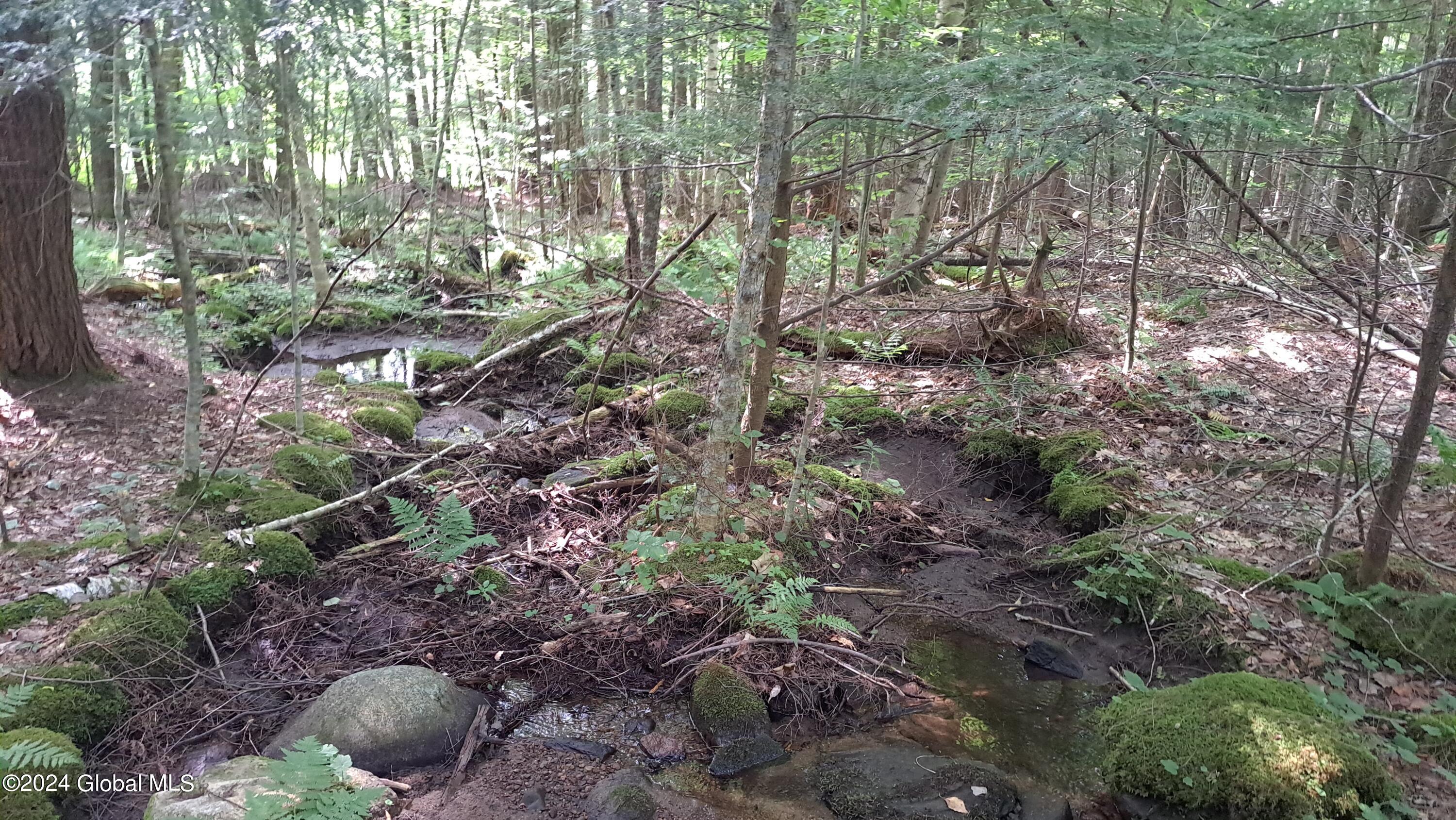 07 Small Perennial Stream