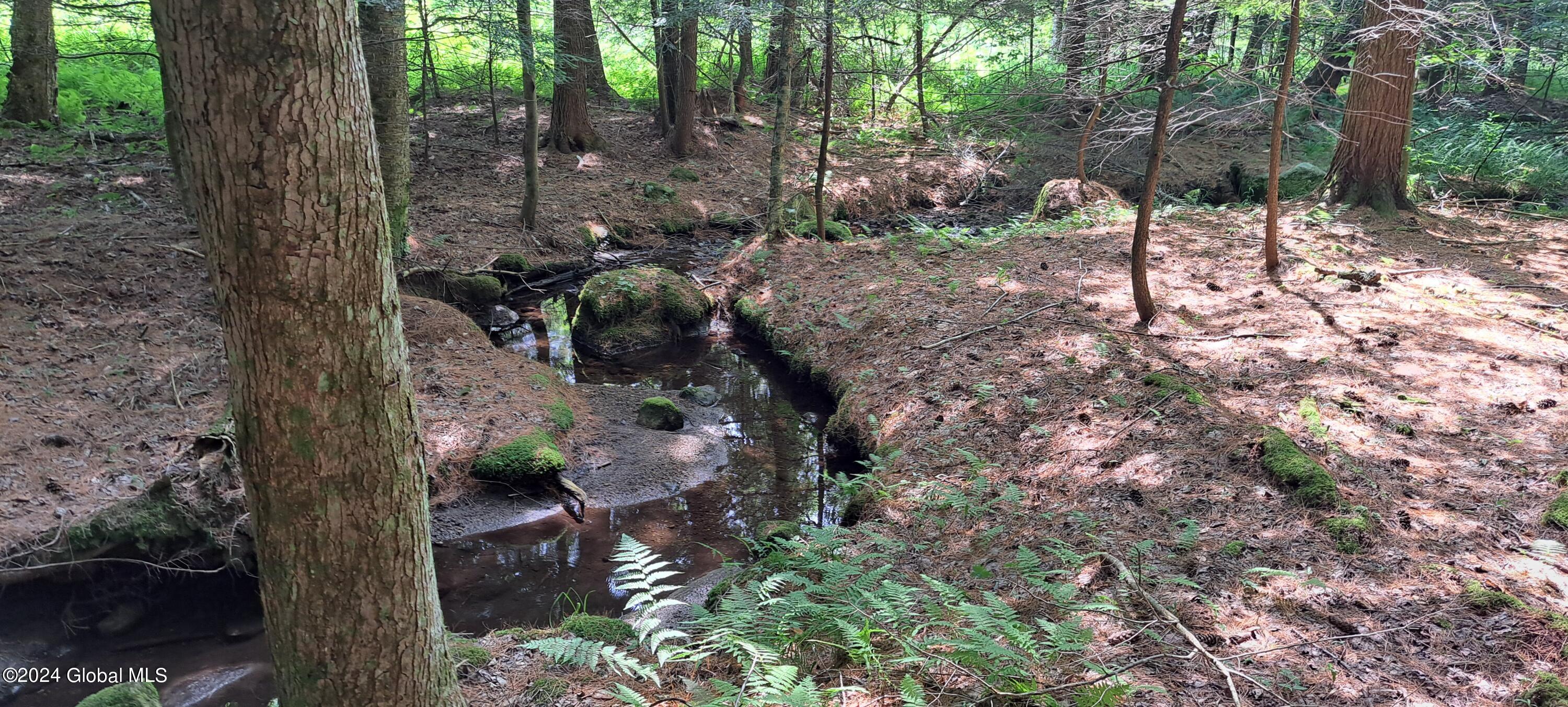 26.112 Jackson Summit Road Mayfield, NY 12117 - Photo 11 of 61 15 Bend in Stream