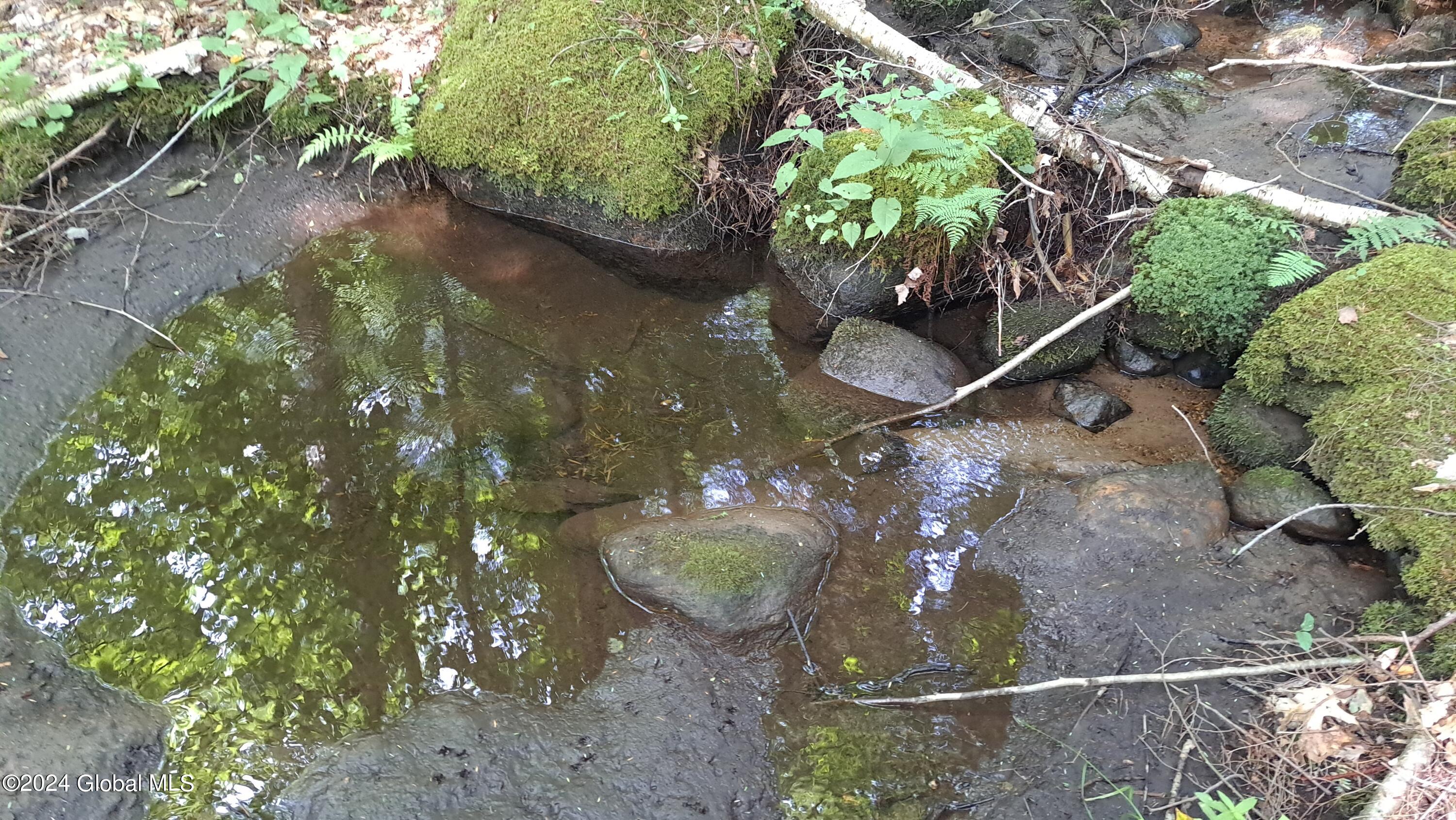 09 Stream Pool