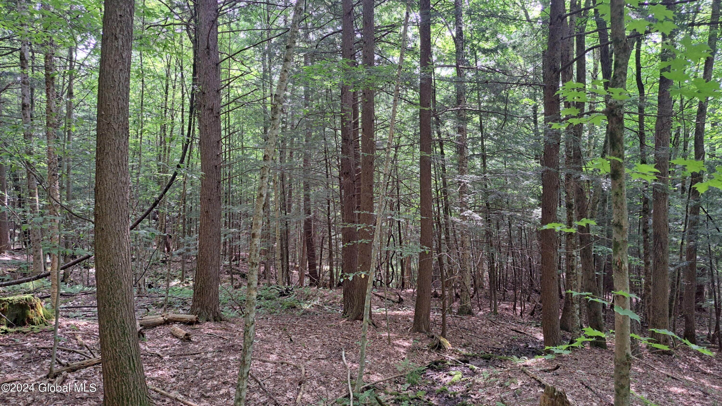 26.112 Jackson Summit Road Mayfield, NY 12117 - Photo 32 of 61 30 Hemlock Cover