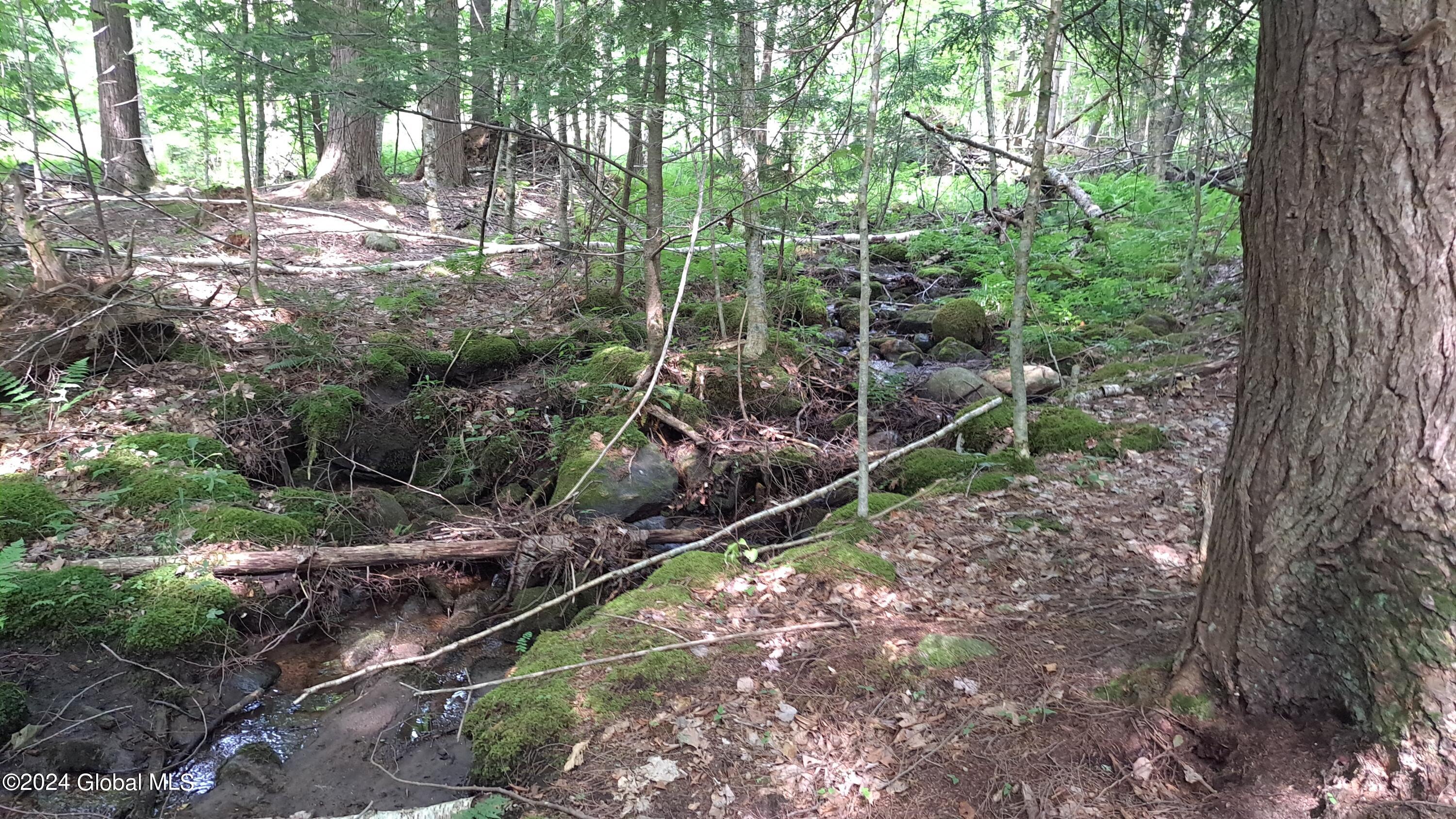 10 Perennial Stream