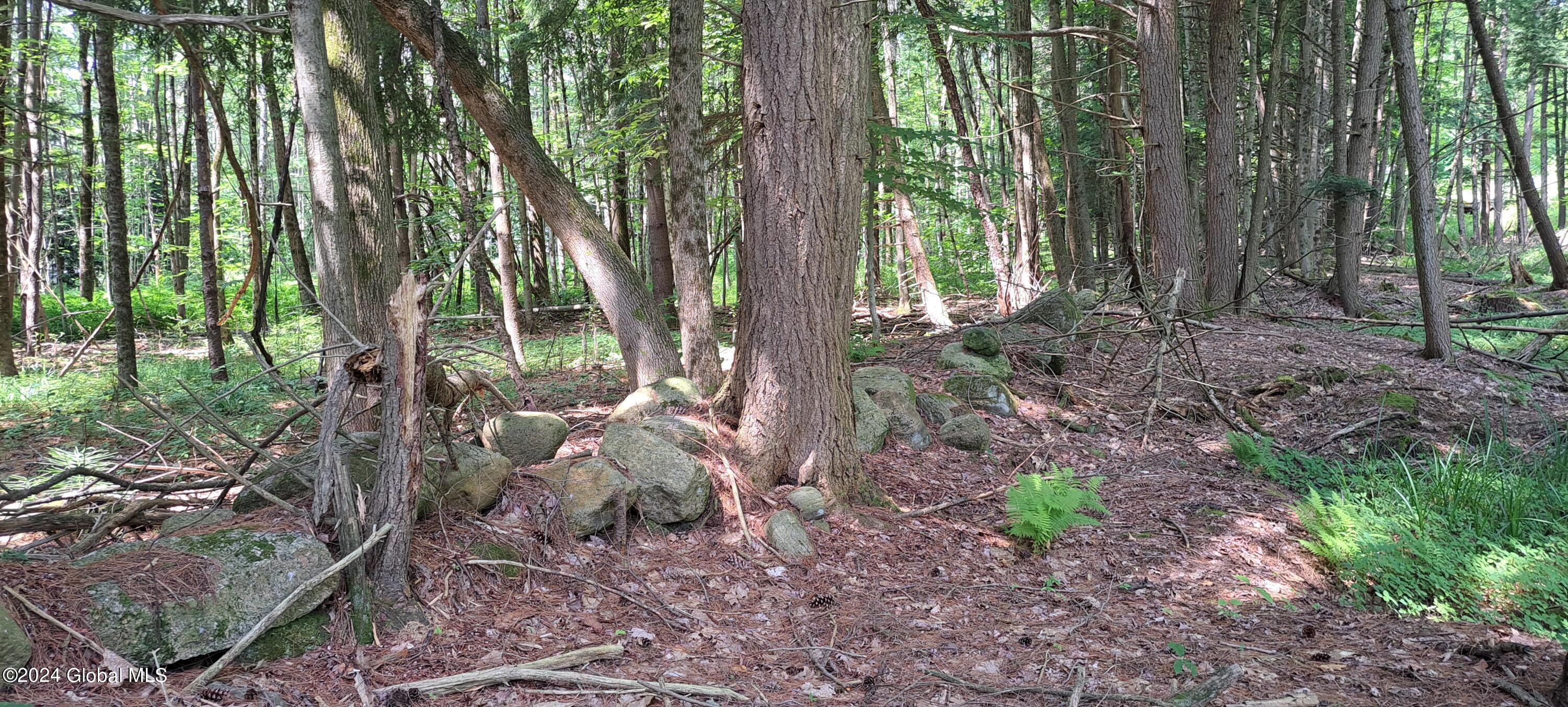 26.112 Jackson Summit Road Mayfield, NY 12117 - Photo 49 of 61 47 Stone Wall at Old Field