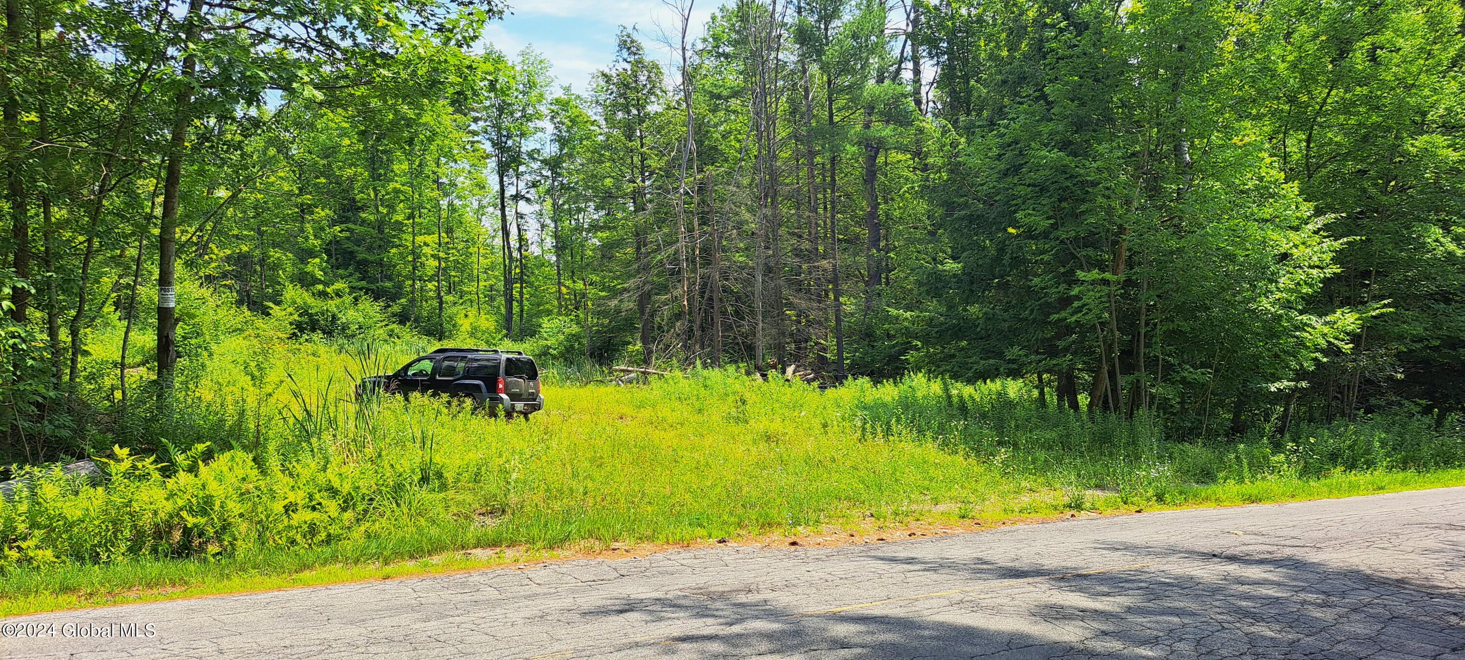 26.112 Jackson Summit Road Mayfield, NY 12117 - Photo 52 of 61 50 Access at Log Landing