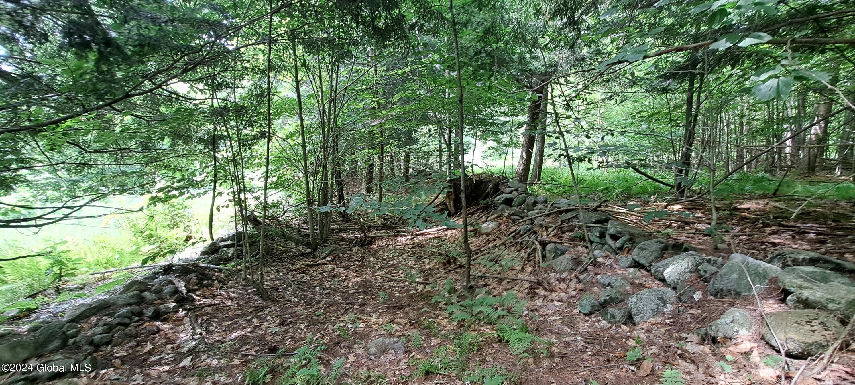26.112 Jackson Summit Road Mayfield, NY 12117 - Photo 61 of 61 59 Old Roadbed Between Stonewalls
