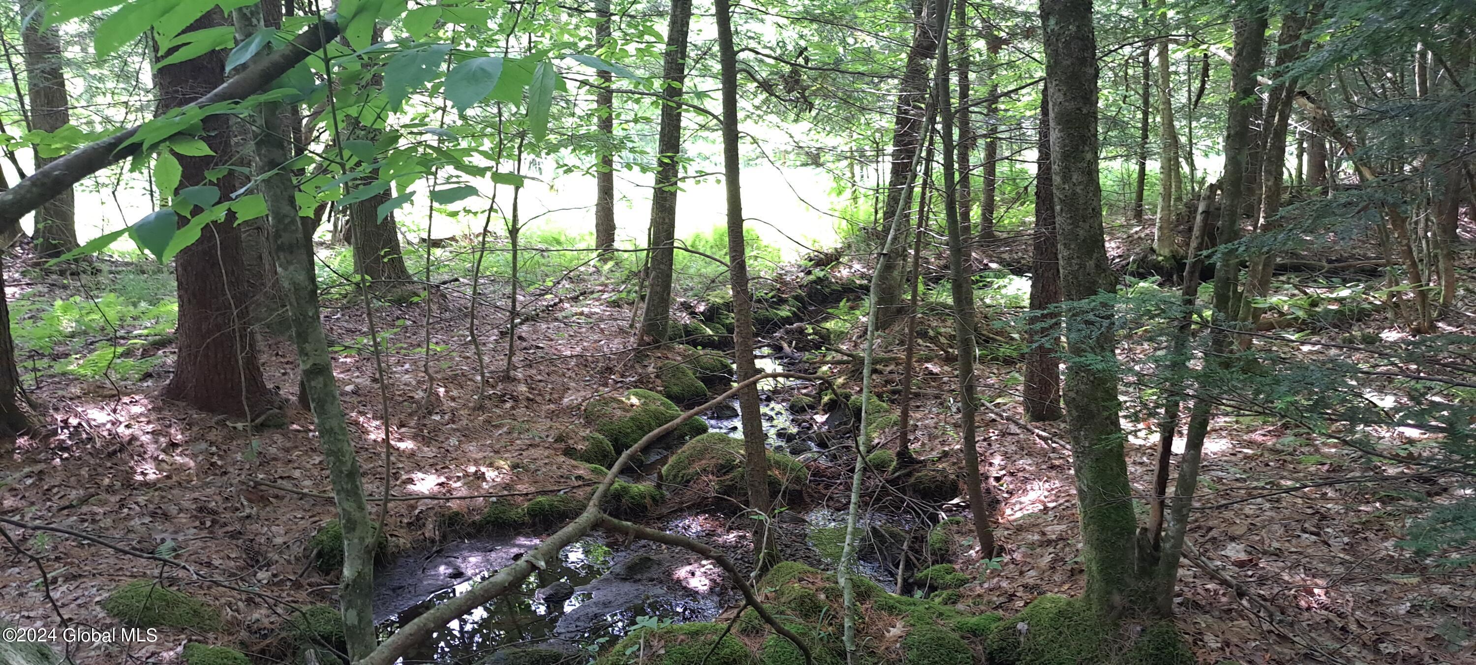 26.112 Jackson Summit Road Mayfield, NY 12117 - Photo 8 of 61 12 Perennial Stream