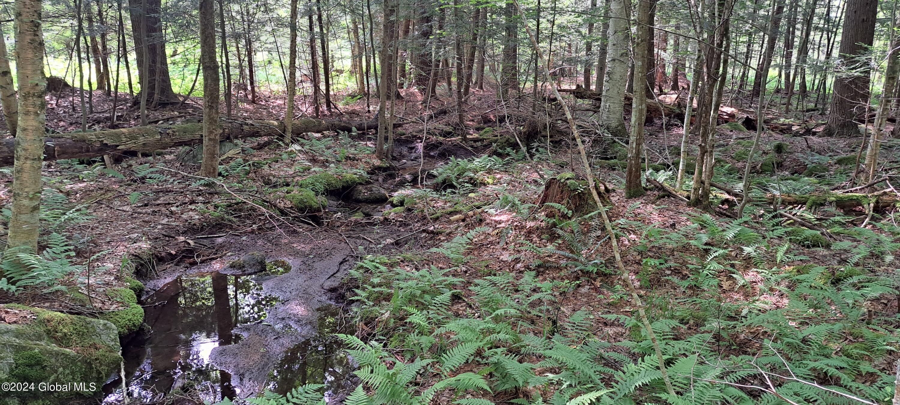 26.112 Jackson Summit Road Mayfield, NY 12117 - Photo 9 of 61 13 Stream