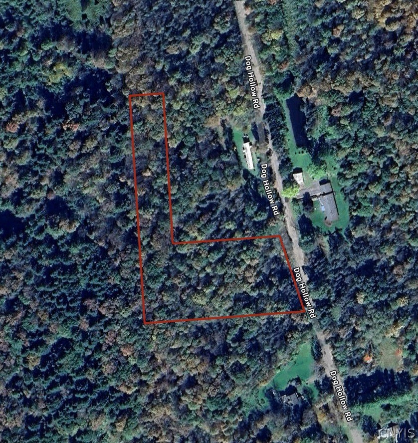 Dog Hollow Road Truxton, NY 13158 - Photo 9 of 9