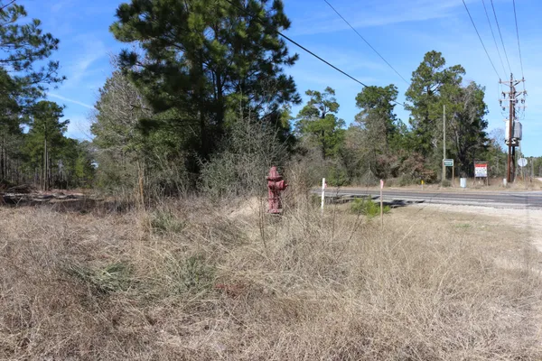 a view of outdoor space with trees