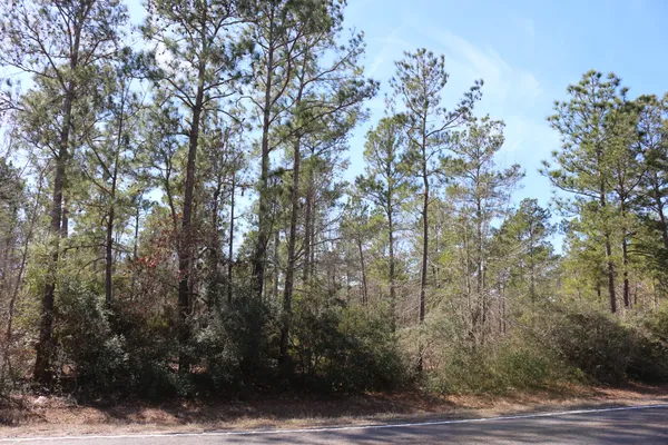 a view of outdoor space and trees