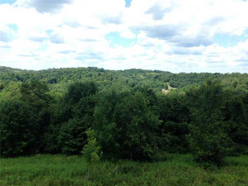 176 Hewitt Run Wind Ridge, PA 15380 - Photo 22 of 22 View.