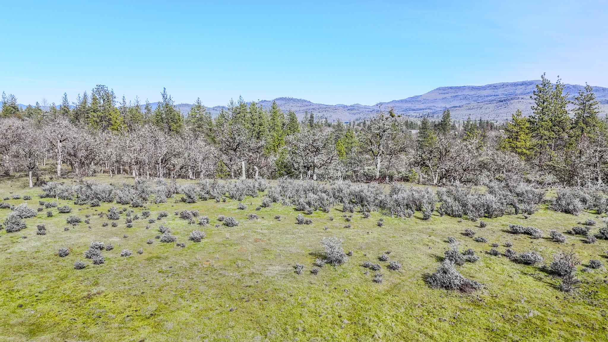 506 Greenleaf Drive Eagle Point, OR 97524 - Photo 2 of 38 main