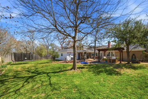a view of a yard with plants and trees