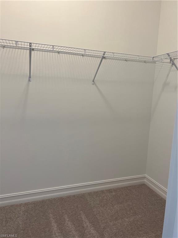 393 Deauville Loop Naples, FL 34114 - Photo 13 of 19 Walk in closet with carpet floors