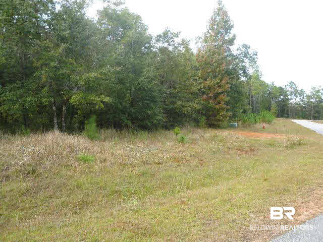 21 Pandion Drive Foley, AL 36535 - Photo 1 of 1