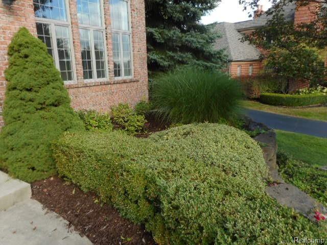 653 Langley Road Rochester Hills, MI 48309 - Photo 8 of 75
