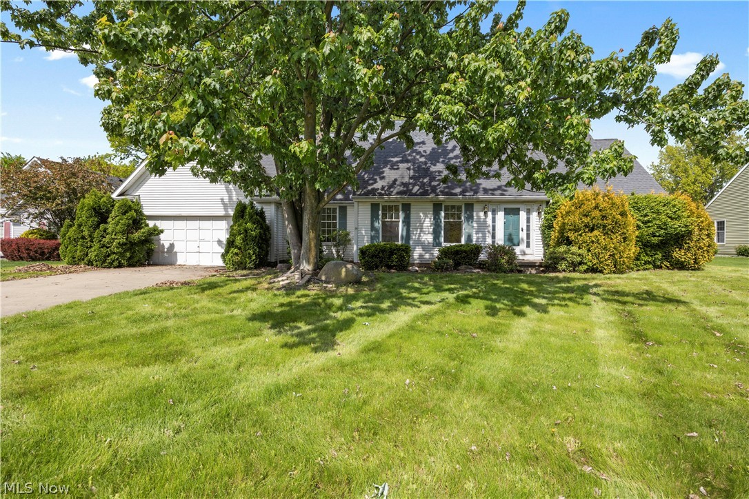 722 Jaycox Road Avon Lake, OH 44012 - Photo 1 of 48 Expansive front lawn with mature trees and established landscaping