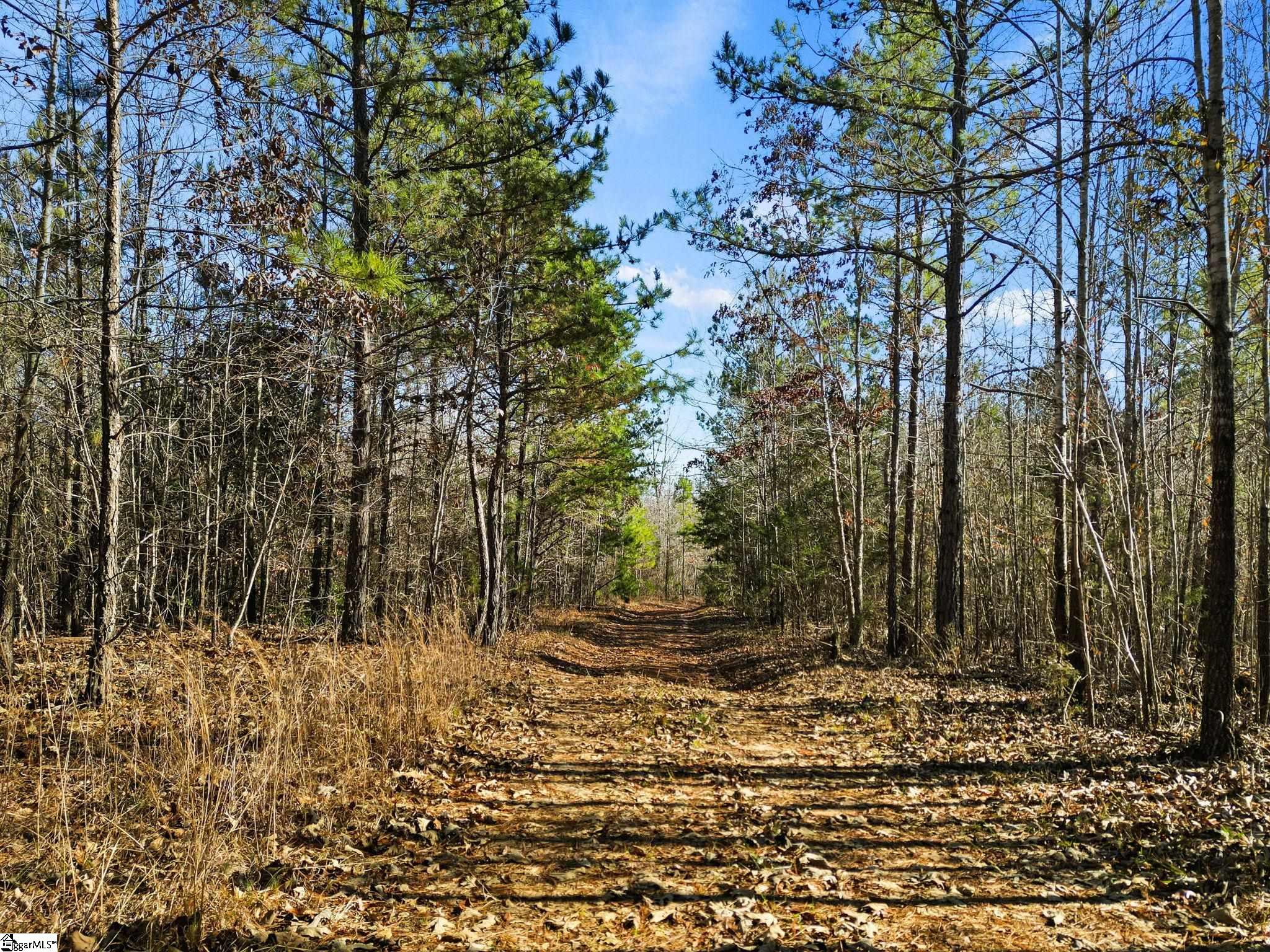 0 Ghost Creek Road, Unit LOT 9 Laurens, SC 29360 - Photo 4 of 34 Gallery Image 4
