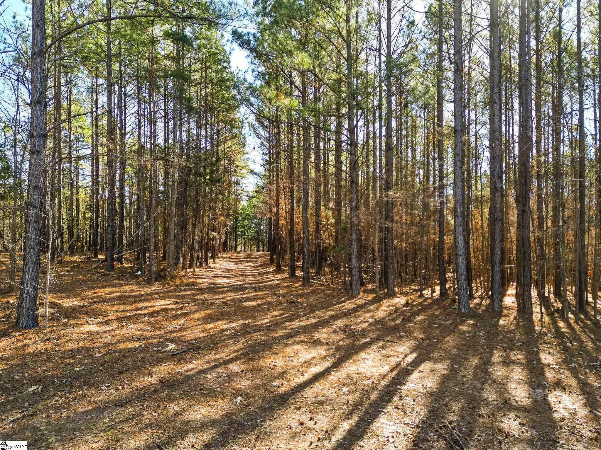 0 Ghost Creek Road, Unit LOT 9 Laurens, SC 29360 - Photo 8 of 34 Gallery Image 8