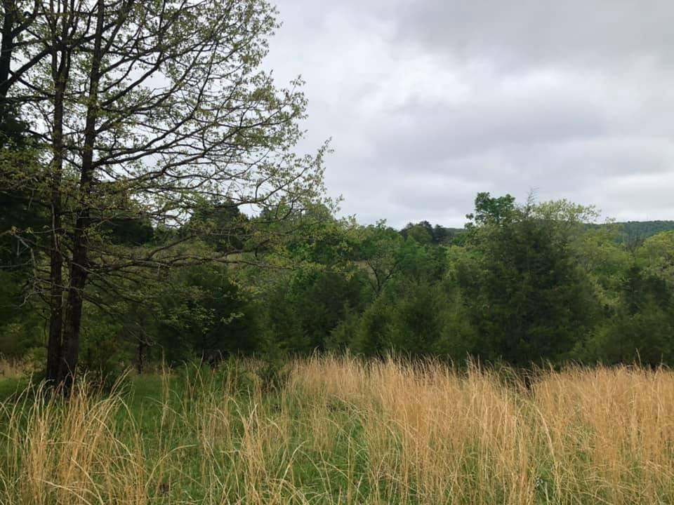 340 Cedar Cliff Road Waco, KY 40385 - Photo 14 of 39 Photo 14