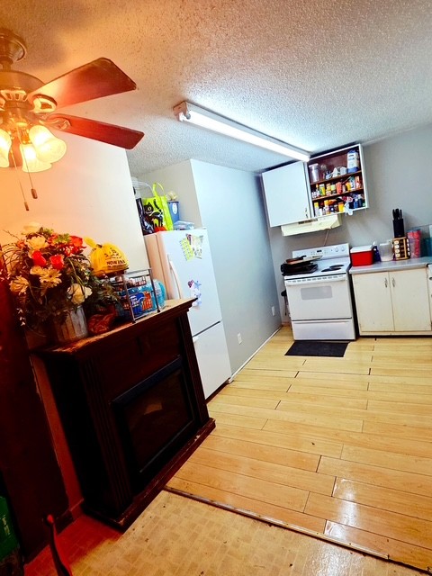 178 South West Street Decaturville, TN 38329 - Photo 4 of 11