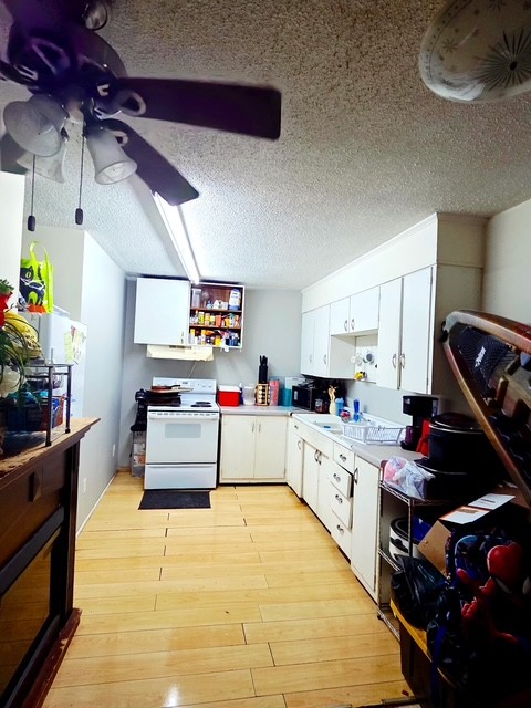 178 South West Street Decaturville, TN 38329 - Photo 6 of 11